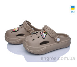 Кроксы Golden Lion